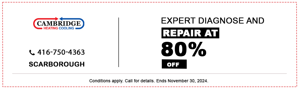 Expert Diagnose and Repair at 80% OFF